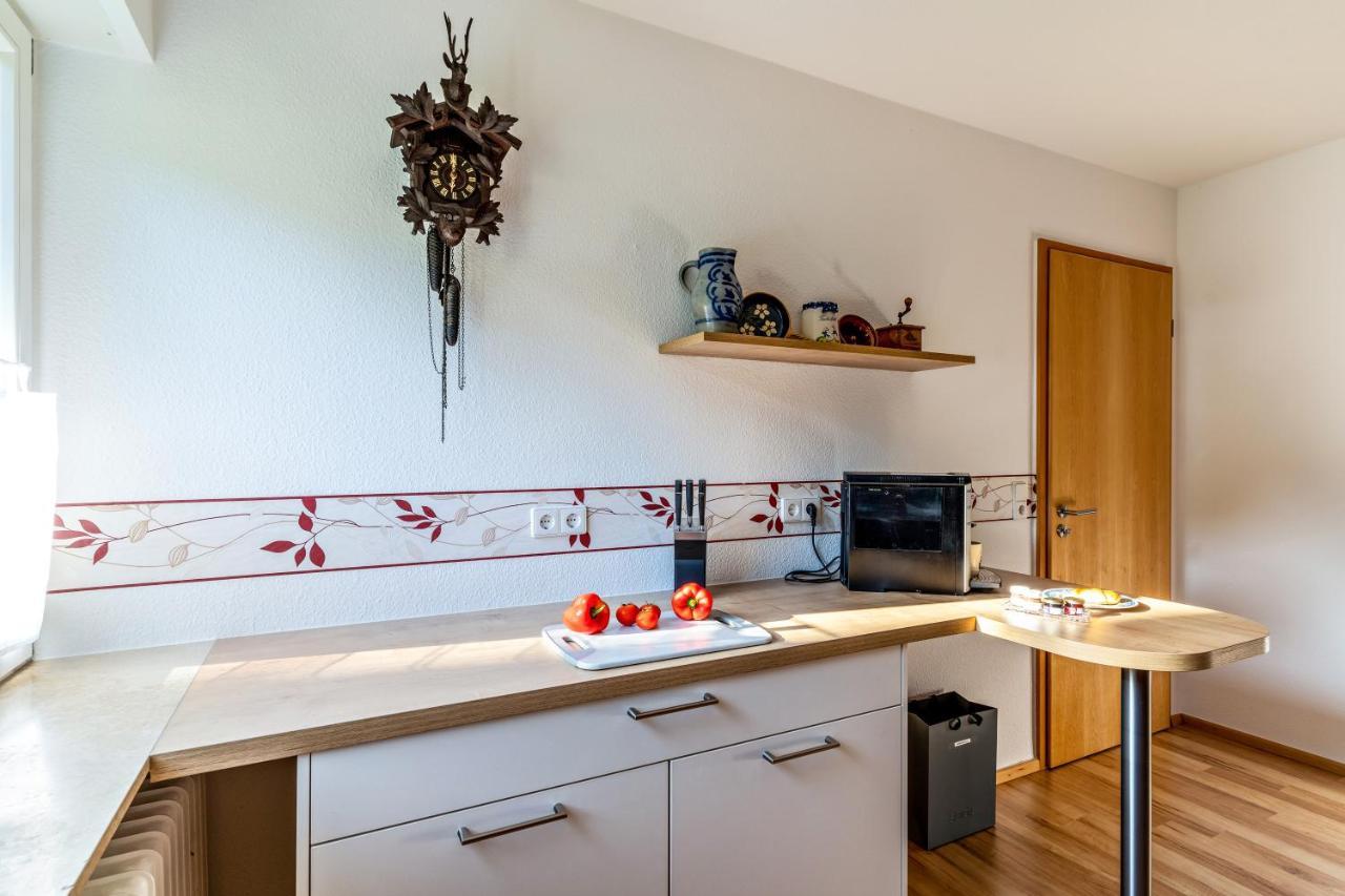 Ferienwohnung Kuckucksnest Lahr  Exterior foto